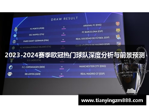 2023-2024赛季欧冠热门球队深度分析与前景预测