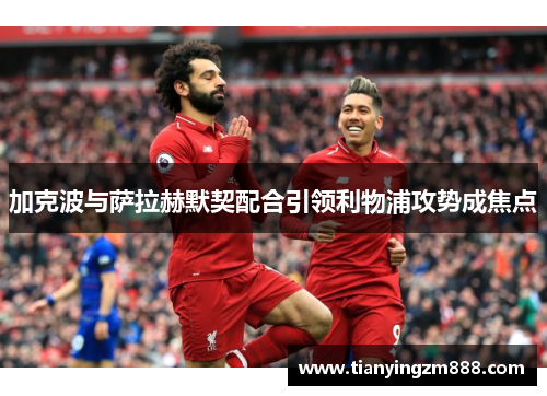 加克波与萨拉赫默契配合引领利物浦攻势成焦点