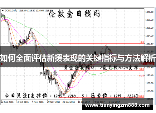 如何全面评估新援表现的关键指标与方法解析