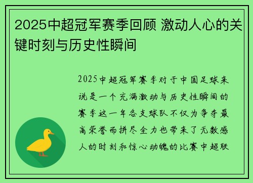2025中超冠军赛季回顾 激动人心的关键时刻与历史性瞬间