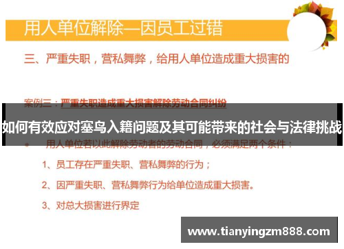 如何有效应对塞鸟入籍问题及其可能带来的社会与法律挑战