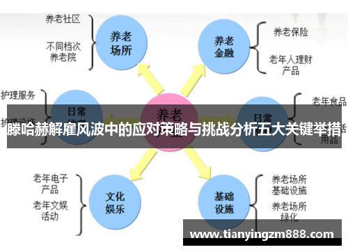 滕哈赫解雇风波中的应对策略与挑战分析五大关键举措