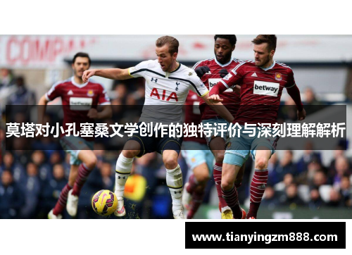 莫塔对小孔塞桑文学创作的独特评价与深刻理解解析