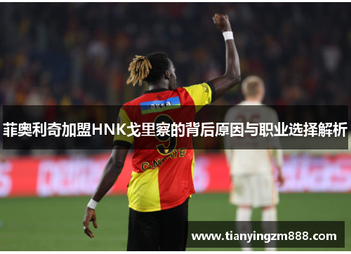 菲奥利奇加盟HNK戈里察的背后原因与职业选择解析